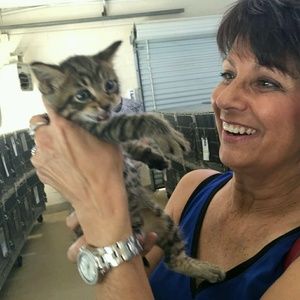 Meet your Posher, Deann